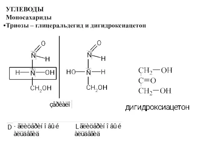 УГЛЕВОДЫ Моносахариды Триозы – глицеральдегид и дигидроксиацетон
