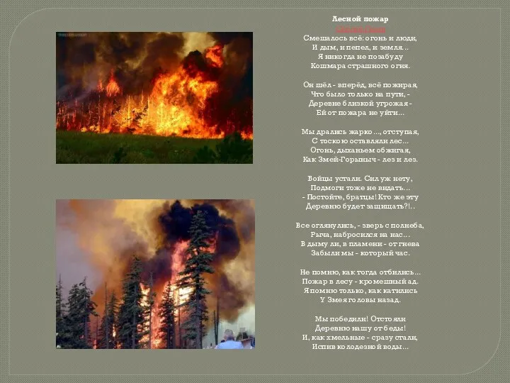 Лесной пожар Сергей Газин Смешалось всё: огонь и люди, И