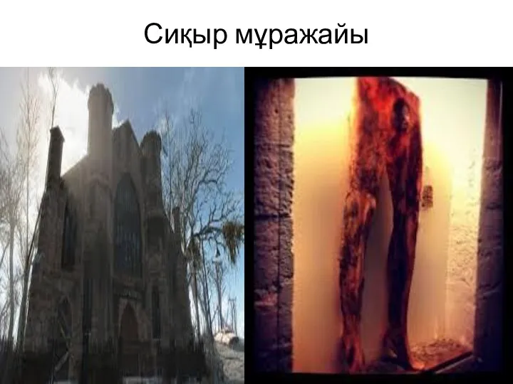 Сиқыр мұражайы