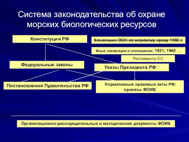 Система законодательства об охране морских биологических ресурсов Федеральные законы Указы