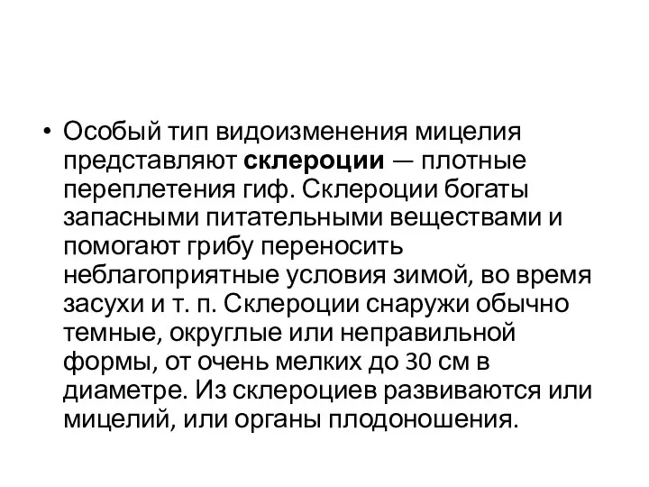 Особый тип видоизменения мицелия представляют склероции — плотные переплетения гиф.