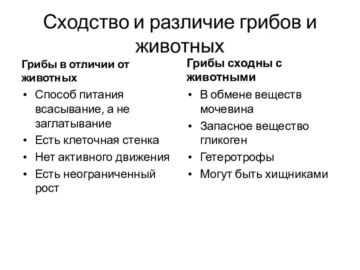 Сходство и различие грибов и животных Грибы в отличии от