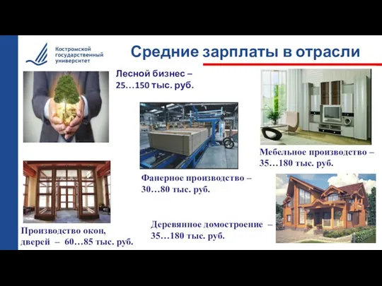 Средние зарплаты в отрасли Лесной бизнес – 25…150 тыс. руб.