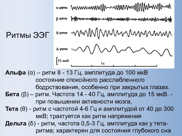 Ритмы ЭЭГ Альфа (α) – ритм 8 - 13 Гц,