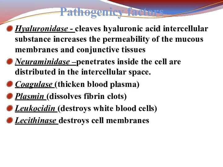 Pathogenicy factors Hyaluronidase - cleaves hyaluronic acid intercellular substance increases