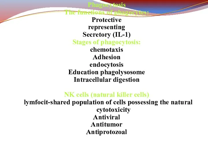 Phagocytosis The functions of phagocytes: Protective representing Secretory (IL-1) Stages of phagocytosis: chemotaxis