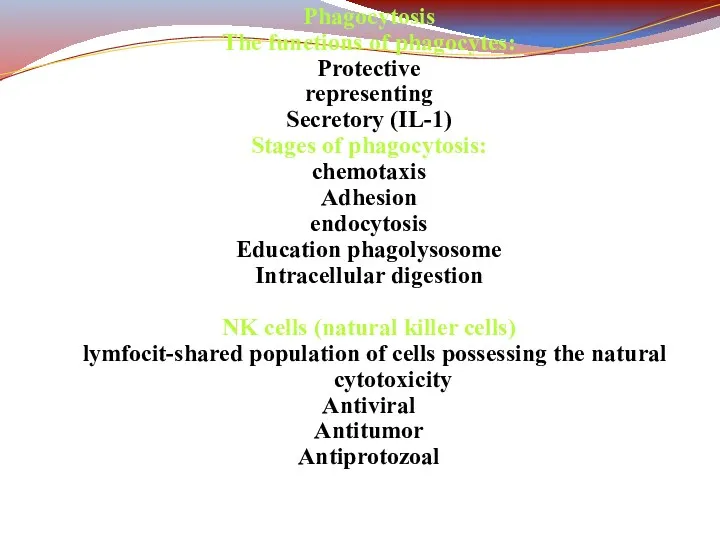 Phagocytosis The functions of phagocytes: Protective representing Secretory (IL-1) Stages