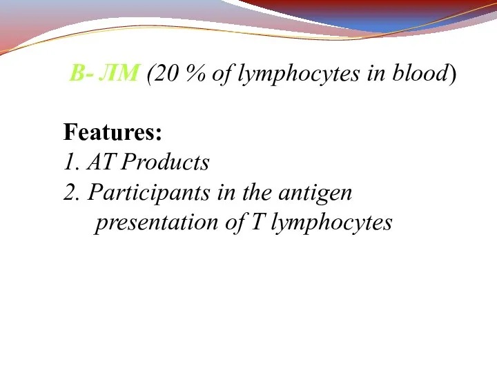 В- ЛМ (20 % of lymphocytes in blood) Features: 1. AT Products 2.