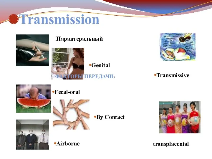 Transmission Airborne Fecal-oral By Contact Парантеральный Genital Transmissive transplacental ФАКТОРЫ ПЕРЕДАЧИ: