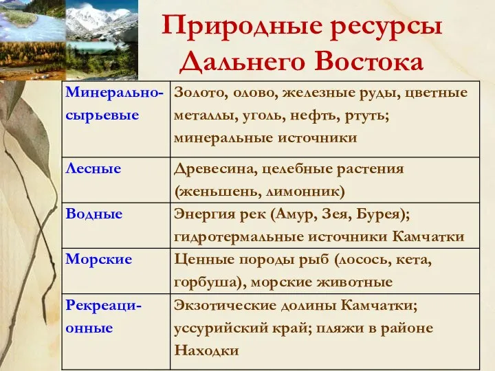 Природные ресурсы Дальнего Востока