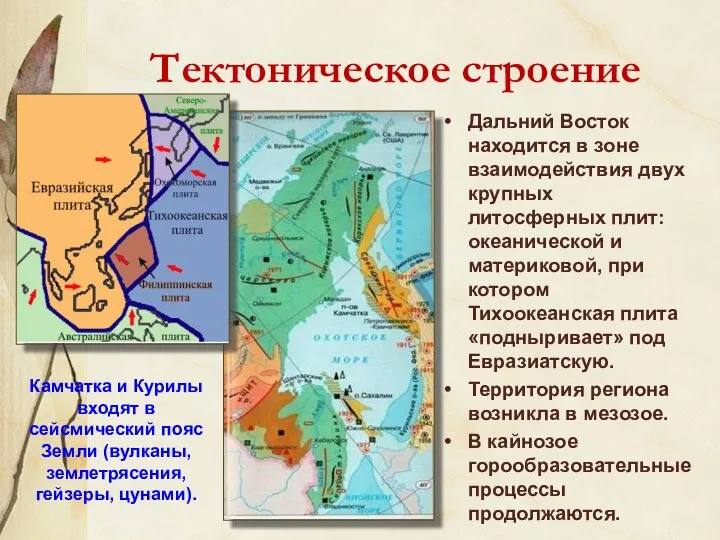 Тектоническое строение Дальний Восток находится в зоне взаимодействия двух крупных литосферных плит: океанической