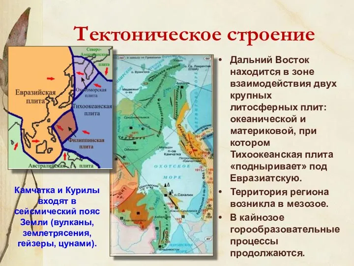 Тектоническое строение Дальний Восток находится в зоне взаимодействия двух крупных