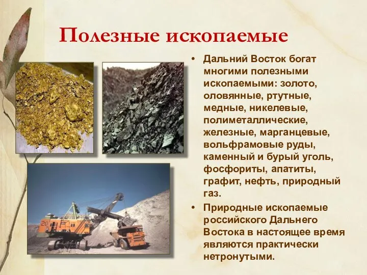 Полезные ископаемые Дальний Восток богат многими полезными ископаемыми: золото, оловянные, ртутные, медные, никелевые,