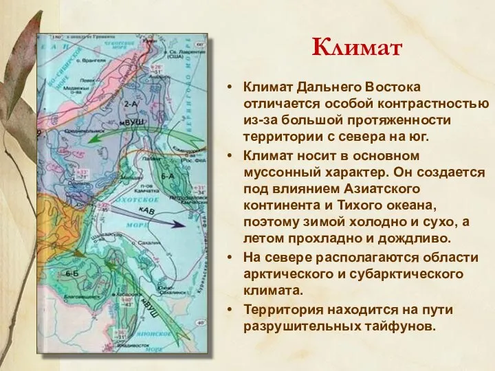 Климат Климат Дальнего Востока отличается особой контрастностью из-за большой протяженности