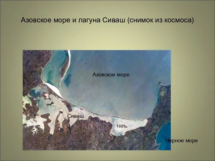 Азовское море и лагуна Сиваш (снимок из космоса) Азовское море Сиваш Черное море 166‰