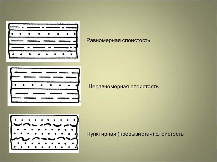 Равномерная слоистость Неравномерная слоистость Пунктирная (прерывистая) слоистость