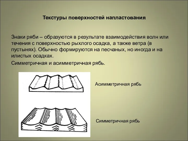 Текстуры поверхностей напластования Знаки ряби – образуются в результате взаимодействия