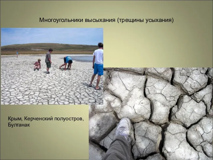 Многоугольники высыхания (трещины усыхания) Крым, Керченский полуостров, Булганак
