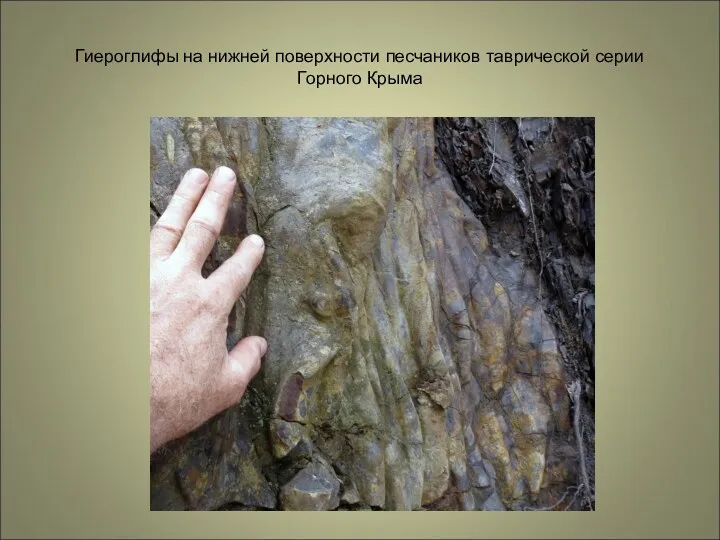 Гиероглифы на нижней поверхности песчаников таврической серии Горного Крыма
