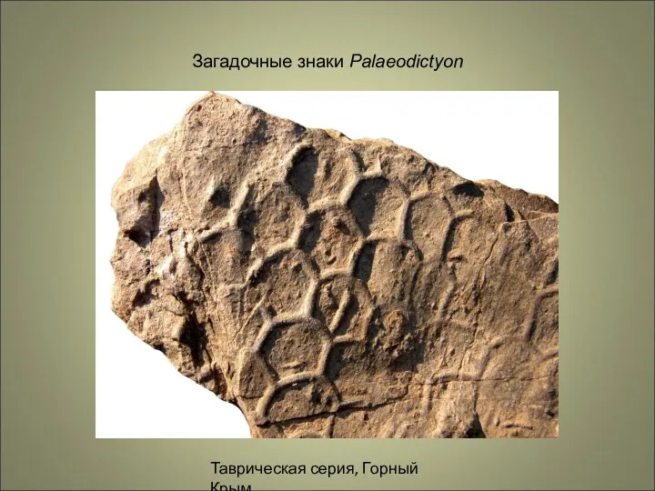 Загадочные знаки Palaeodictyon Таврическая серия, Горный Крым