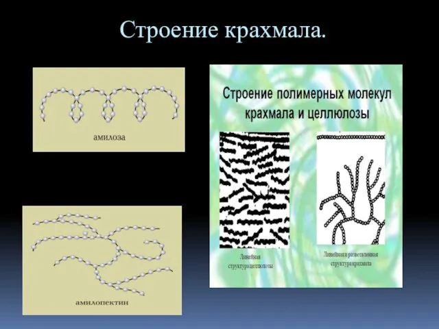 Строение крахмала.