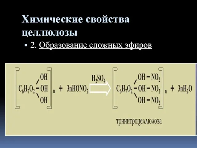 Химические свойства целлюлозы 2. Образование сложных эфиров