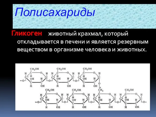 Гликоген – животный крахмал, который откладывается в печени и является