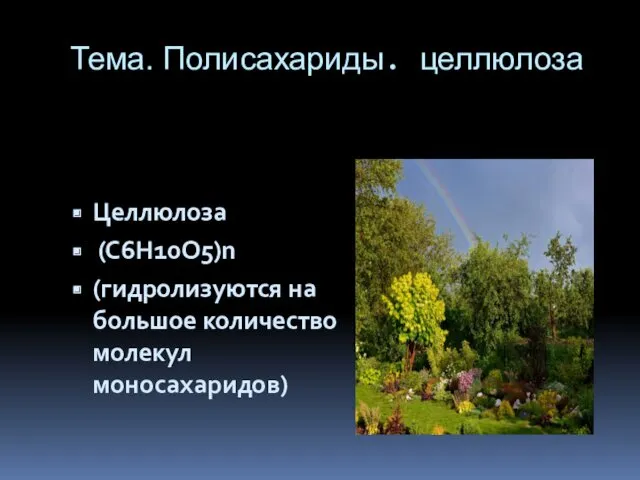 Тема. Полисахариды. целлюлоза Целлюлоза (С6Н10О5)n (гидролизуются на большое количество молекул моносахаридов)