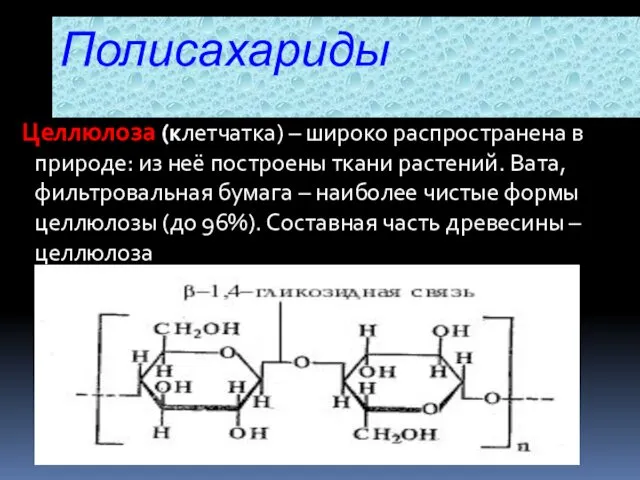 Целлюлоза (клетчатка) – широко распространена в природе: из неё построены