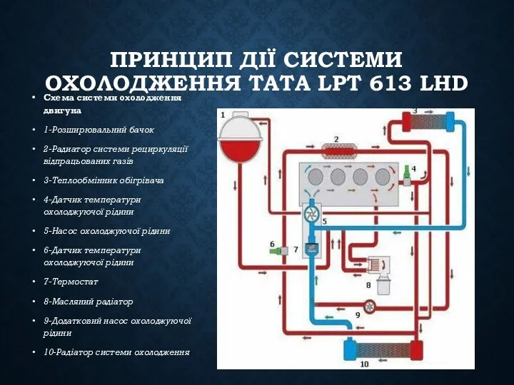 ПРИНЦИП ДІЇ СИСТЕМИ ОХОЛОДЖЕННЯ TATA LPT 613 LHD Схема системи