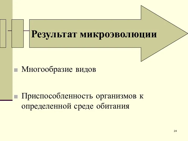 Результат микроэволюции Многообразие видов Приспособленность организмов к определенной среде обитания