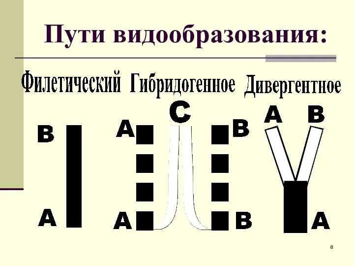 Пути видообразования: