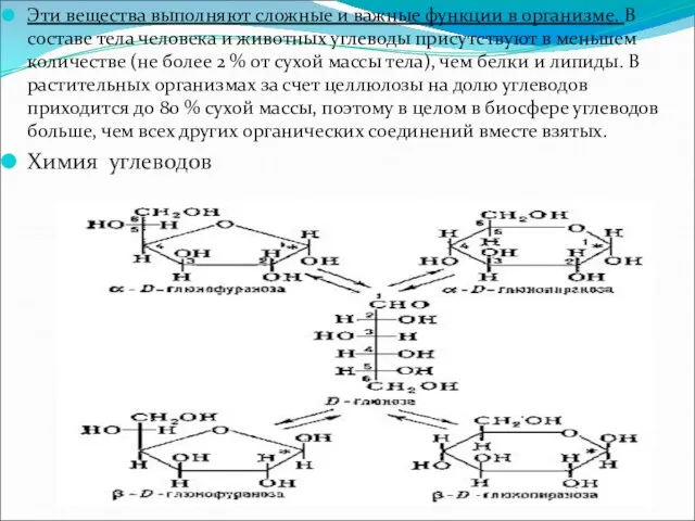 Эти вещества выполняют сложные и важные функции в организме. В