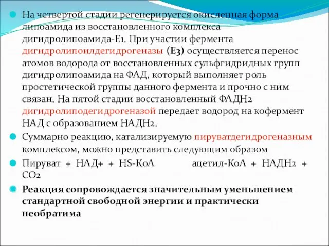 На четвертой стадии регенерируется окисленная форма липоамида из восстановленного комплекса