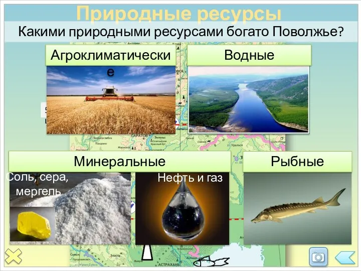 Природные ресурсы Какими природными ресурсами богато Поволжье? 52° с.ш. 48° с.ш.