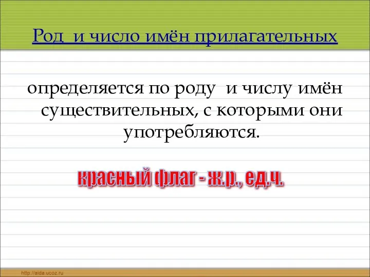 Род и число имён прилагательных определяется по роду и числу