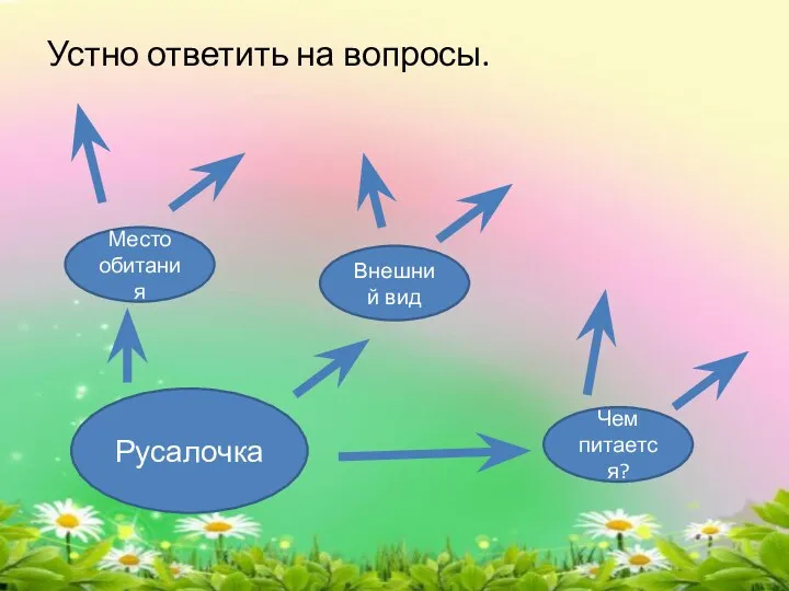 Устно ответить на вопросы. Русалочка Место обитания Внешний вид Чем питается?