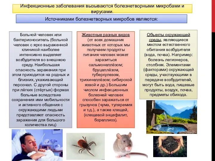 Инфекционные заболевания вызываются болезнетворными микробами и вирусами. Источниками болезнетворных микробов