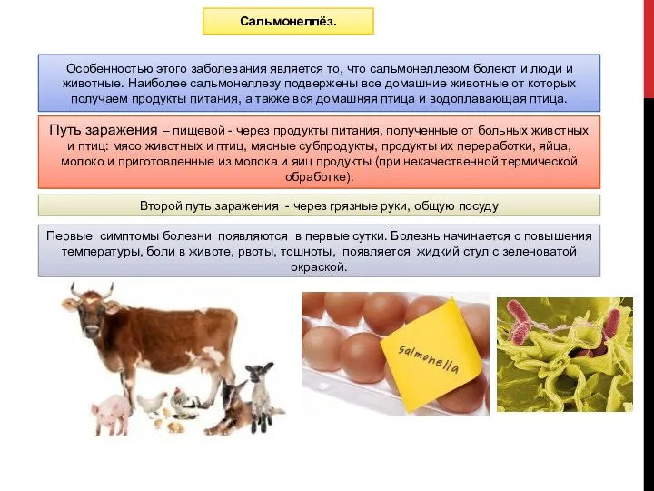 Сальмонеллёз. Особенностью этого заболевания является то, что сальмонеллезом болеют и