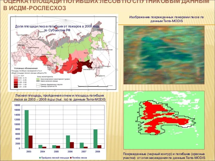 Доля площади лесов погибших от пожаров в 2008 году по