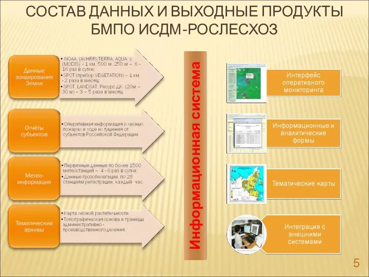 СОСТАВ ДАННЫХ И ВЫХОДНЫЕ ПРОДУКТЫ БМПО ИСДМ-РОСЛЕСХОЗ Информационная система