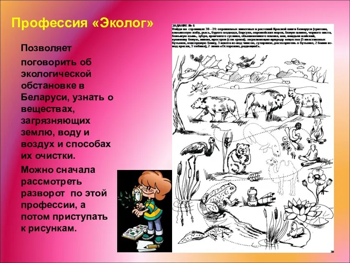 Профессия «Эколог» Позволяет поговорить об экологической обстановке в Беларуси, узнать