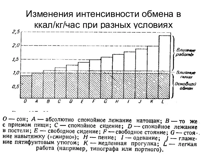 Изменения интенсивности обмена в ккал/кг/час при разных условиях