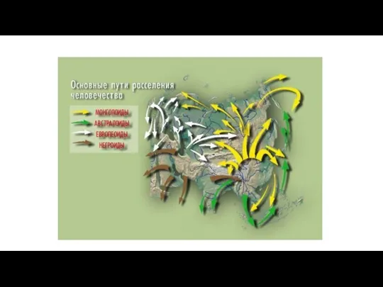 Евразия прародина людей.