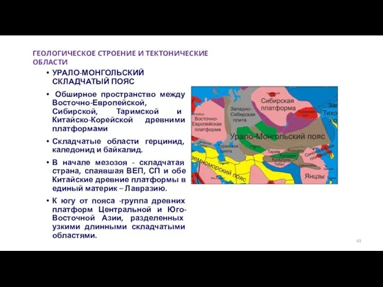 УРАЛО-МОНГОЛЬСКИЙ СКЛАДЧАТЫЙ ПОЯС Обширное пространство между Восточно-Европейской, Сибирской, Таримской и