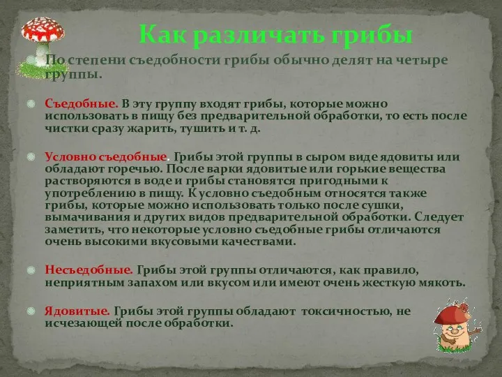 По степени съедобности грибы обычно делят на четыре группы. Съедобные. В эту группу