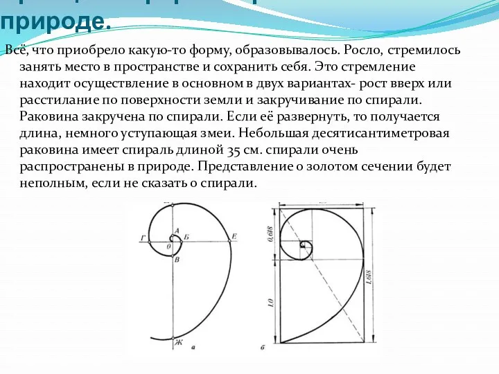 Принципы формообразования в природе. Всё, что приобрело какую-то форму, образовывалось.