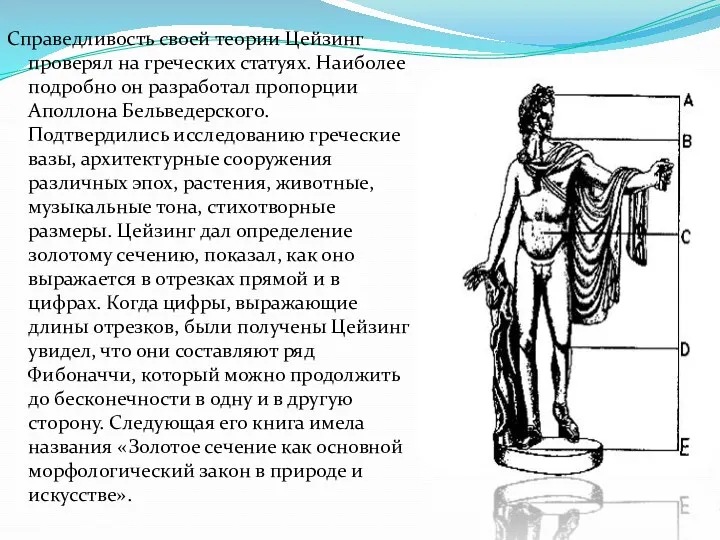 Справедливость своей теории Цейзинг проверял на греческих статуях. Наиболее подробно
