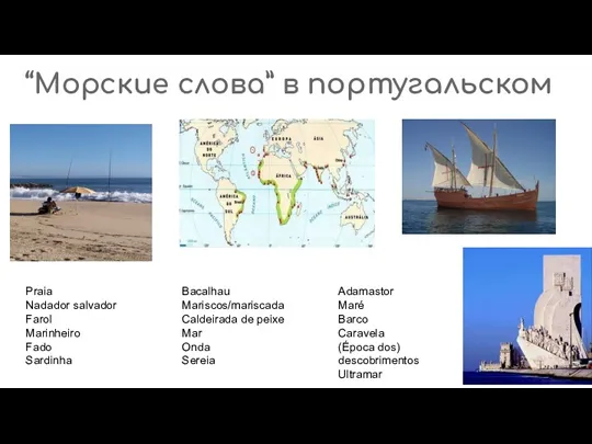 “Морские слова” в португальском