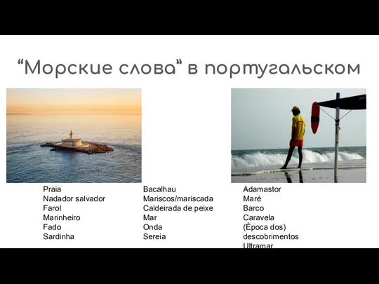 “Морские слова” в португальском